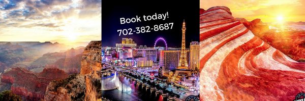 SkylineHeli Profile Banner