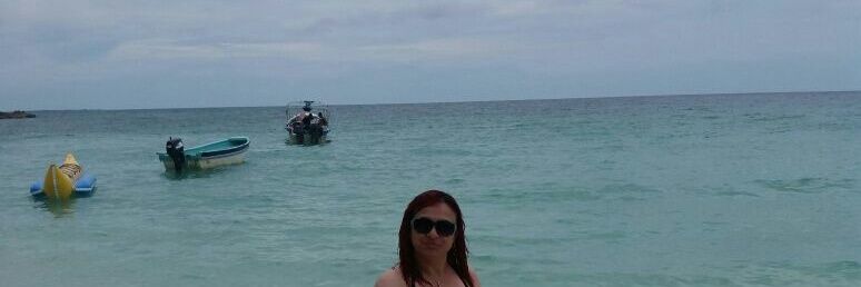 sandrapresenta's profile banner image