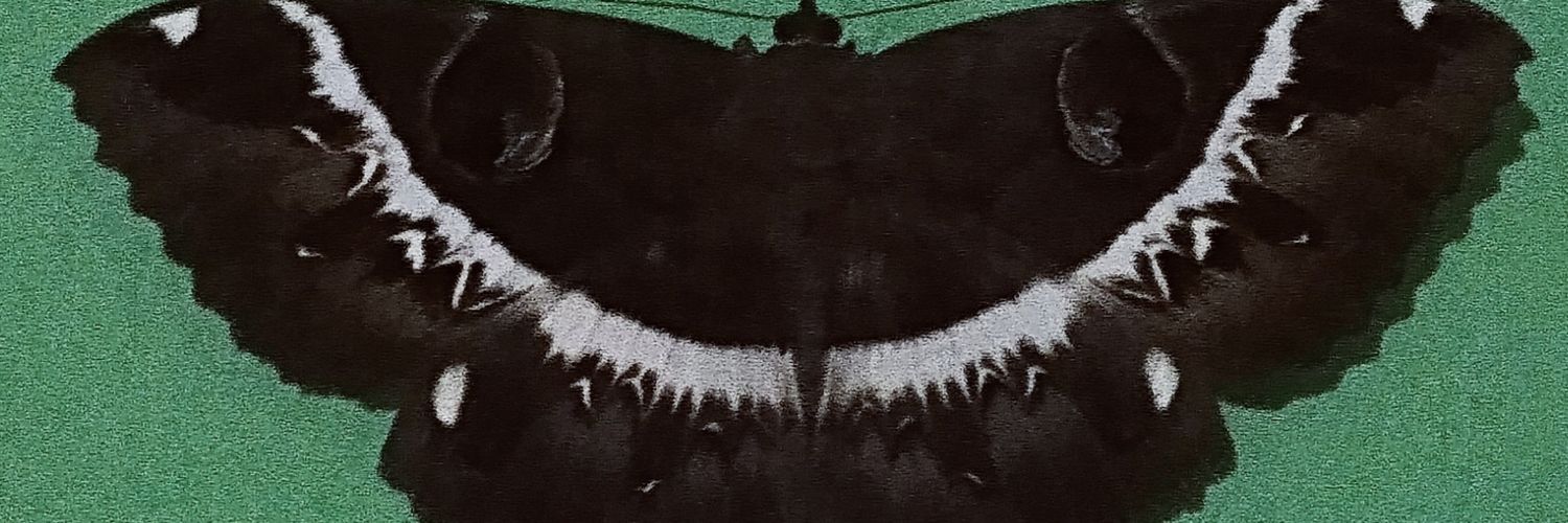 SaifulSibela's profile banner image
