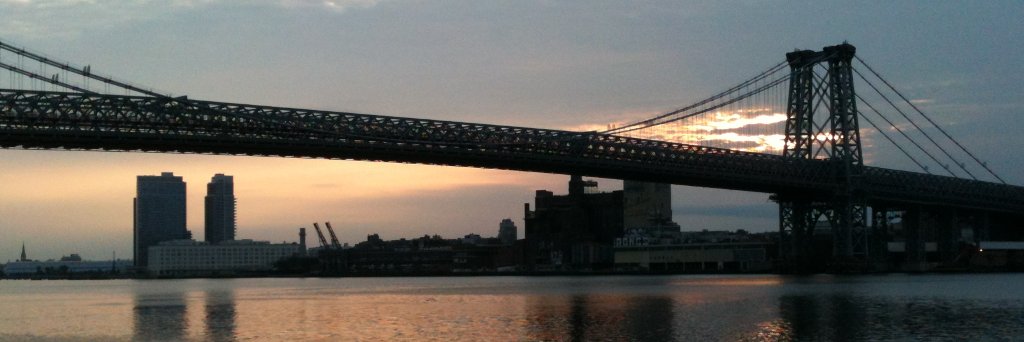 Kathleen Ryan banner