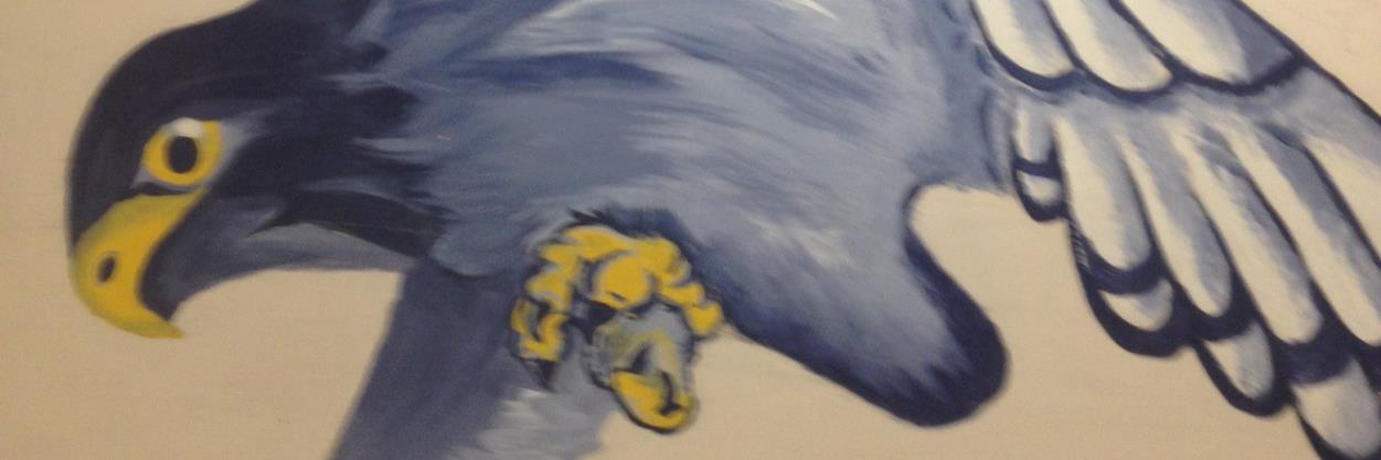 RRHawksSports's profile banner image