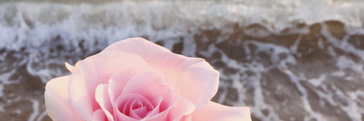 mosa12288's profile banner image
