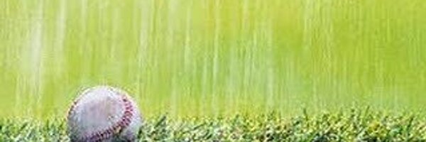 MiLBprobz Profile Banner