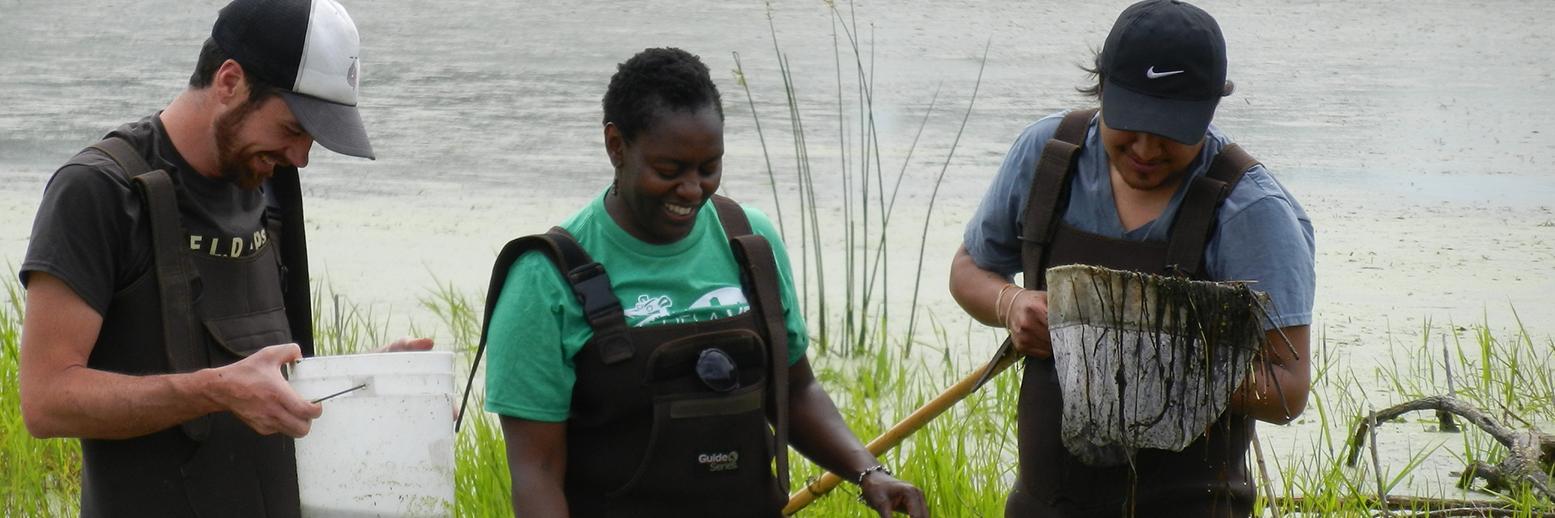 FIELD Edventures banner