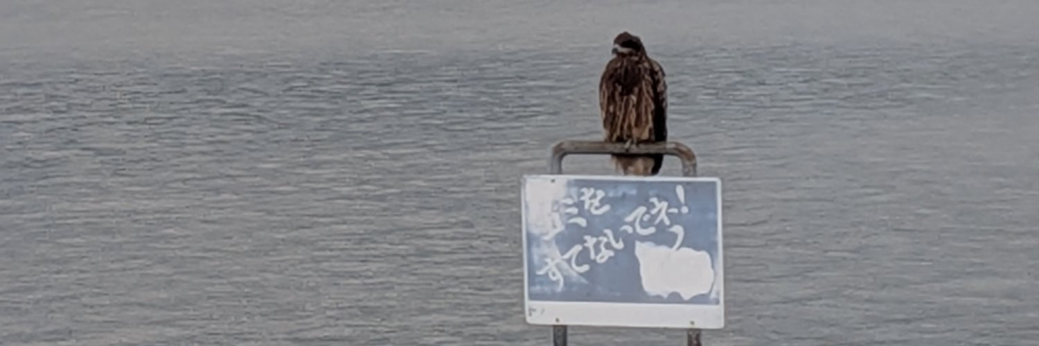 yanagisawer's profile banner image