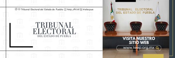 trielecpue Profile Banner