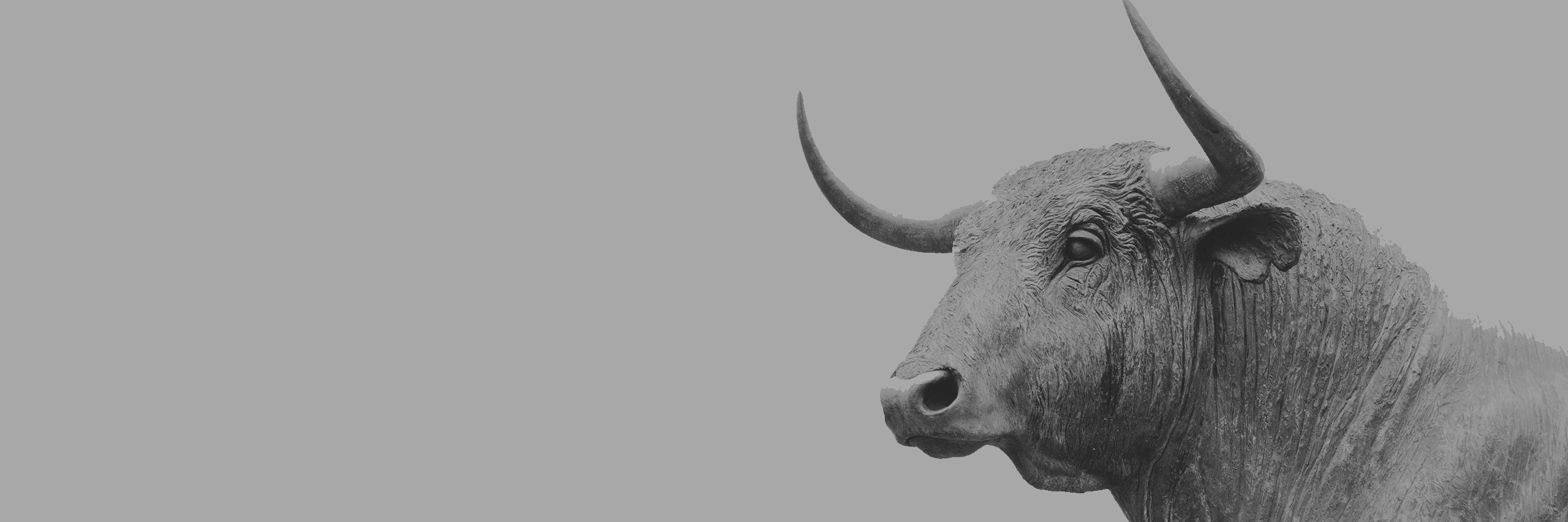 GeometricBull's profile banner image