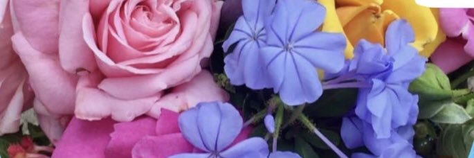HKCTR's profile banner image