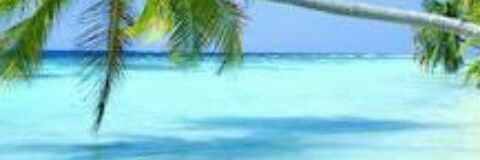 Vero N. banner