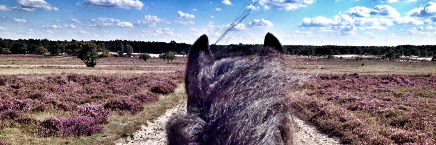 Dieke https://bsky.app/profile/dieker.bsky.social banner
