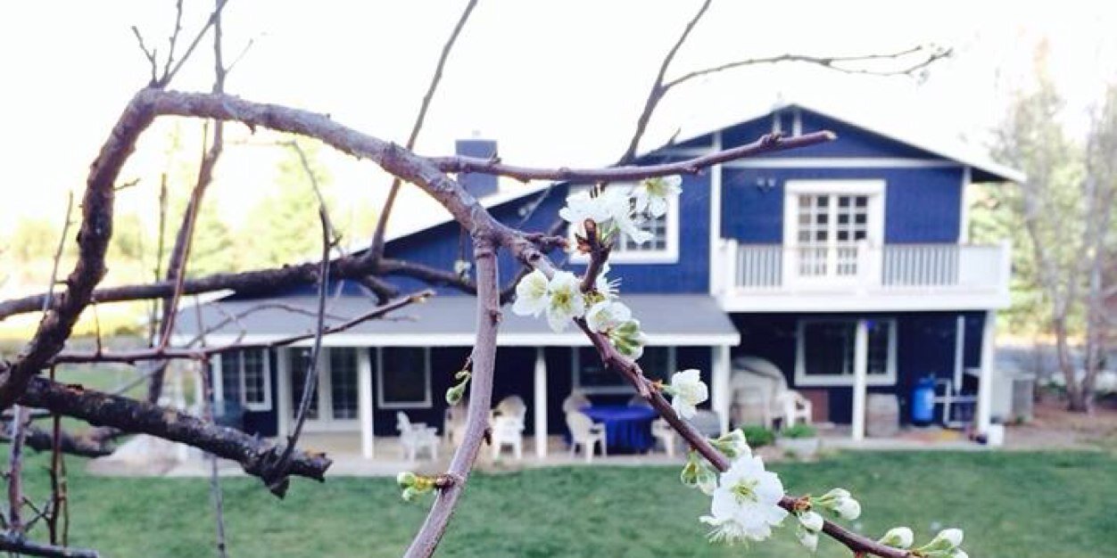 Midnight Cellars banner