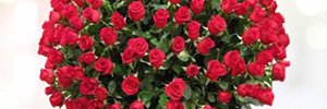 pankajkrseo's profile banner image