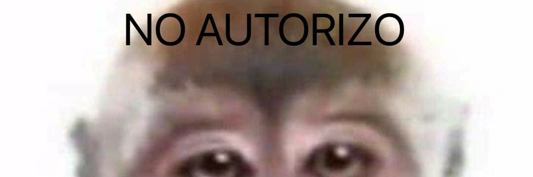 Ana lisa melculo banner