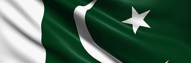 PTI Social Ⓜ️ Workers banner