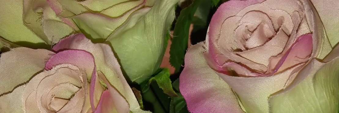 micaelaperezgon's profile banner image