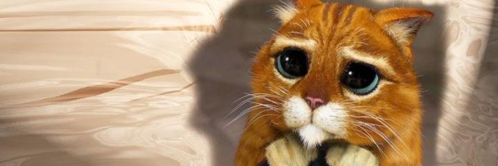 SelinnAkarr's profile banner image