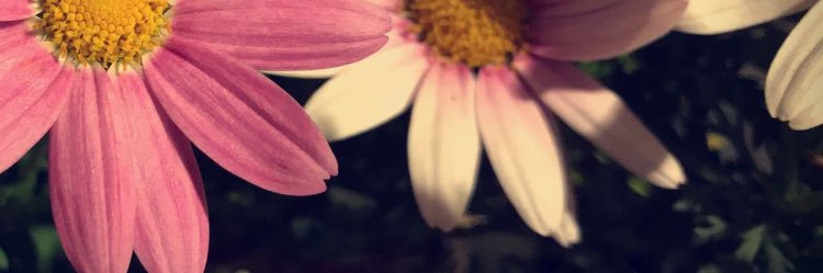 Danh2008's profile banner image