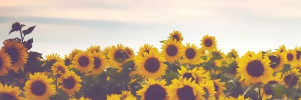 Whitney_Marie42's profile banner image