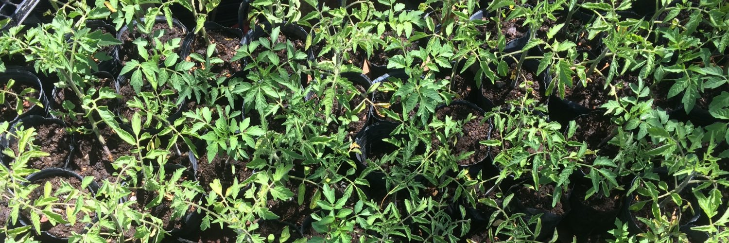 ActivateCompost's profile banner image