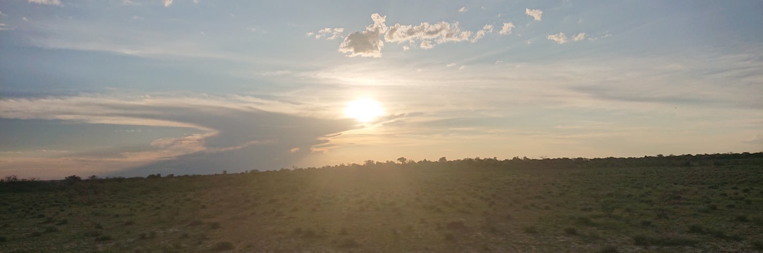 Alex Youngman banner