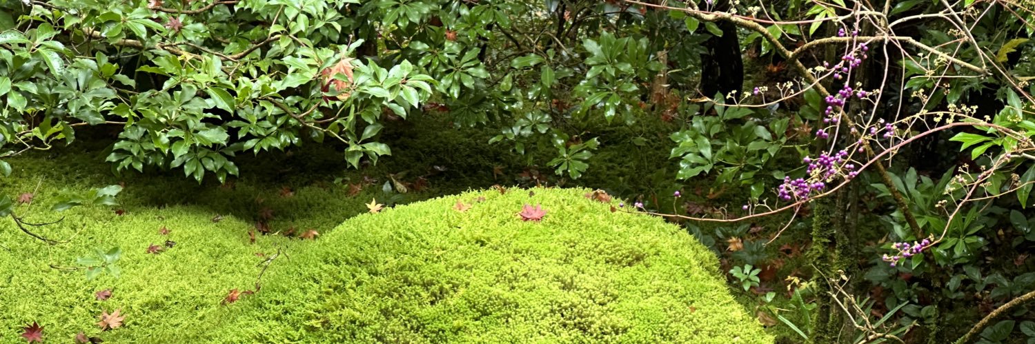 Dr Heidi Ka Ying Lo | FHKCPsych @HKUmed banner