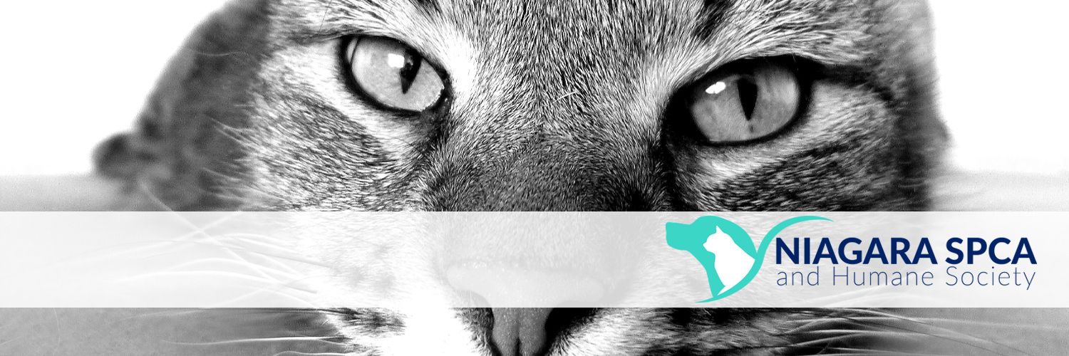 Niagara SPCA & Humane Society banner
