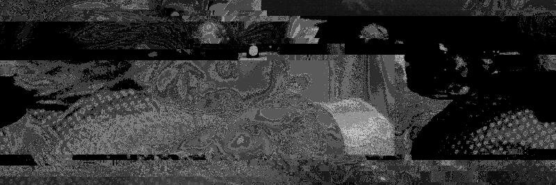 FAMDOOLA's profile banner image