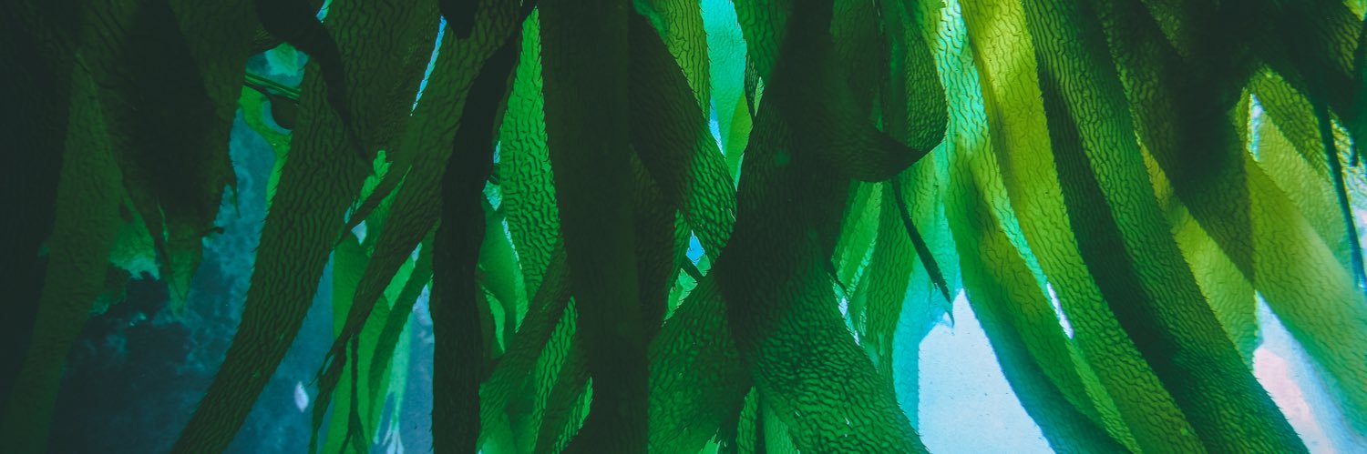 bmshier's profile banner image