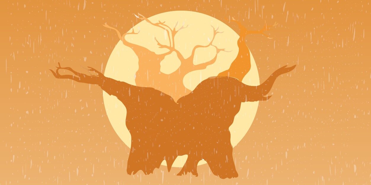 baobab_two's profile banner image