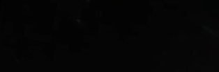 shealynmurphy1's profile banner image