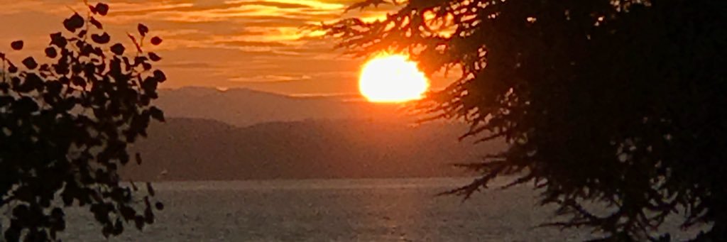 MsAVitense's profile banner image