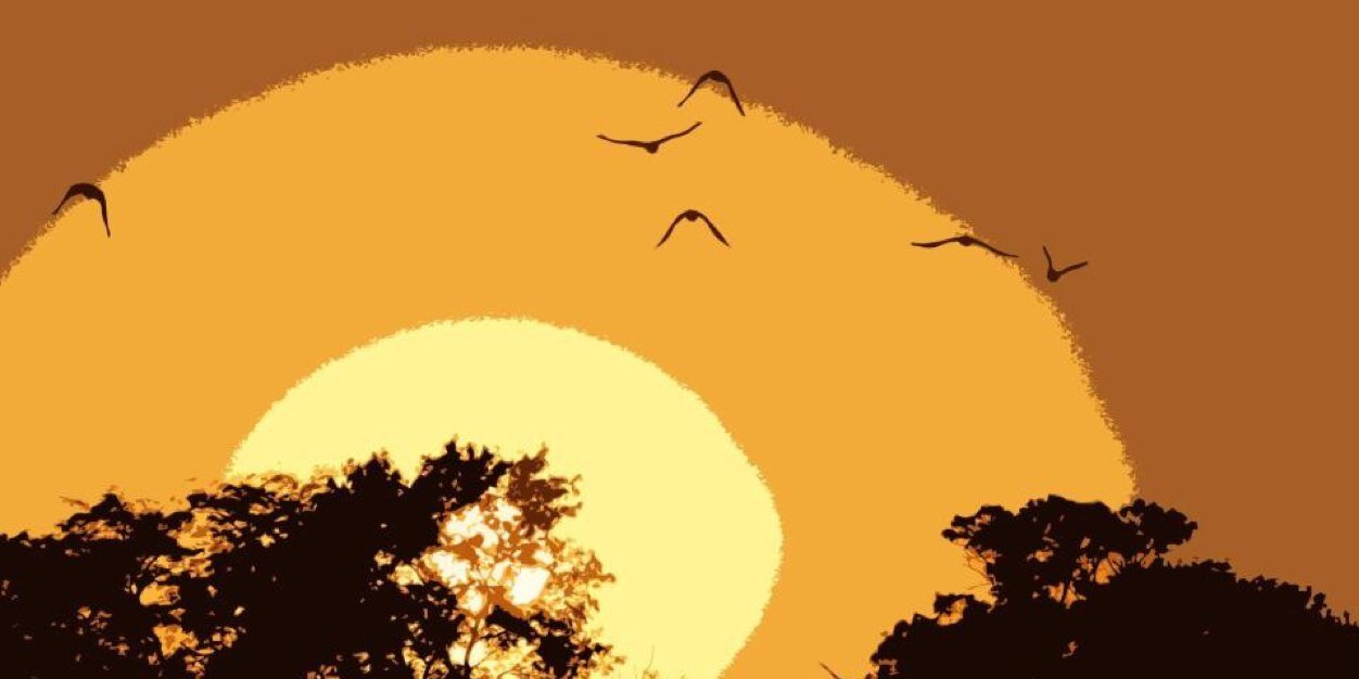 ShadyShergold's profile banner image