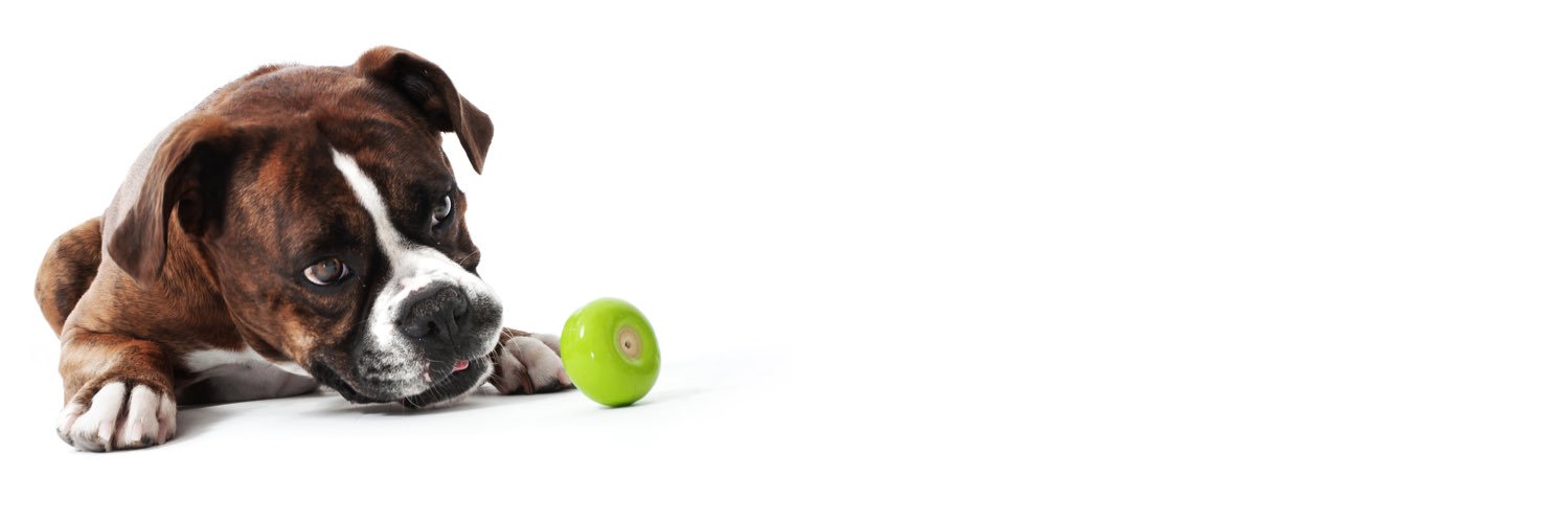 Beats9's profile banner image