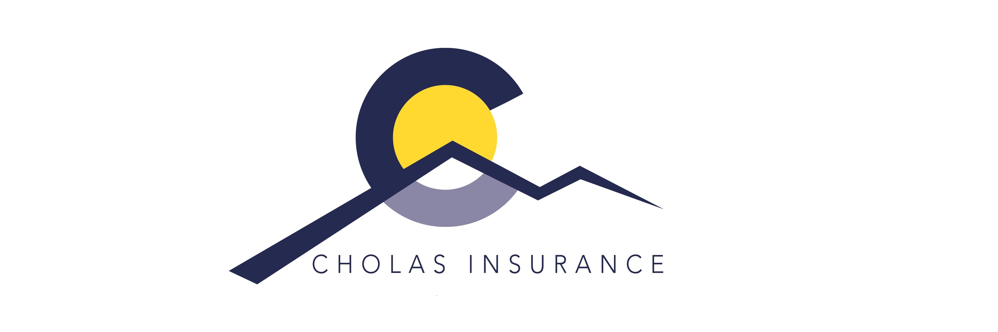 Cholas Insurance banner