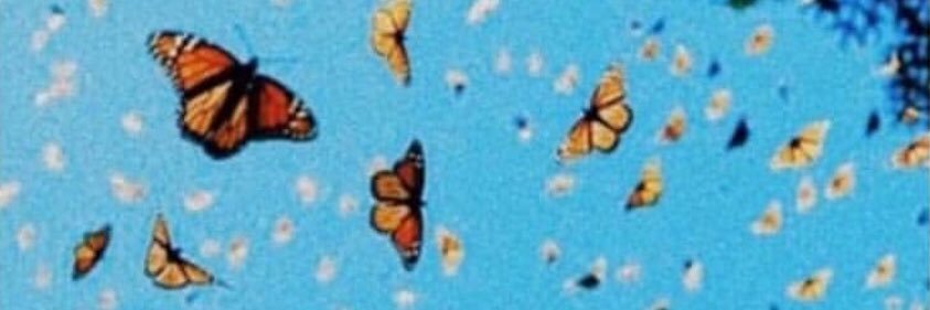 marykatecolo's profile banner image