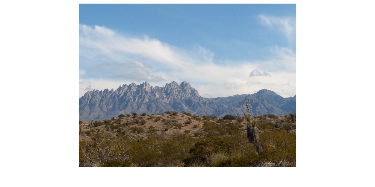 RWarrenNNM's profile banner image