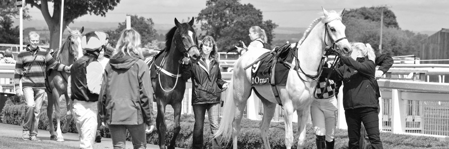 Arabian Race Form banner