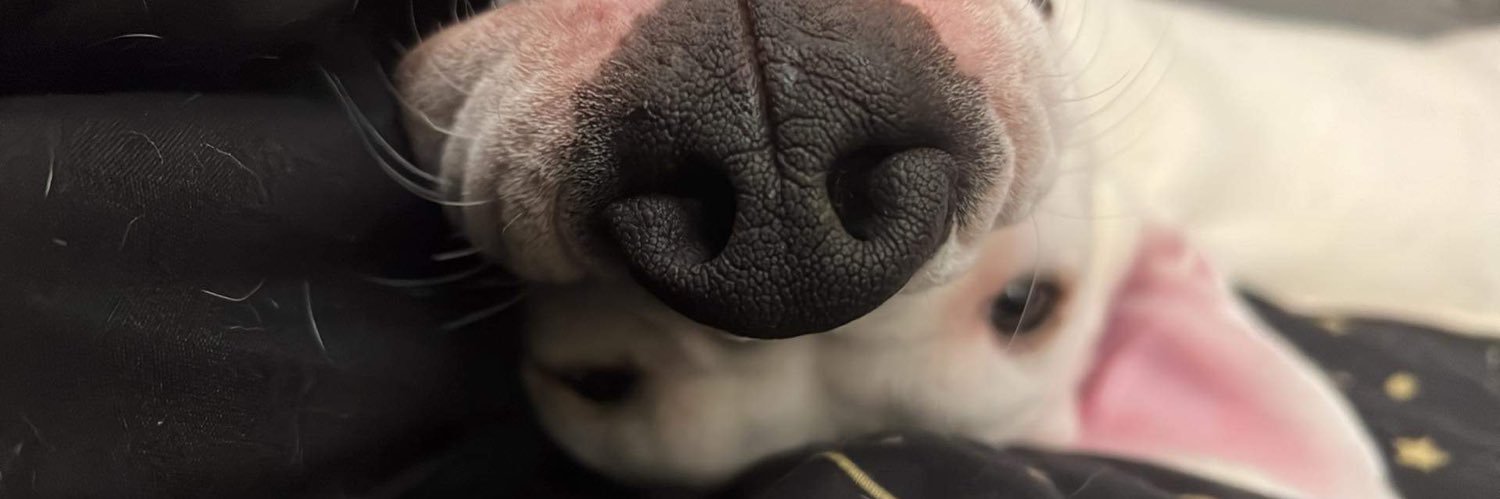 lipslikegravity. banner