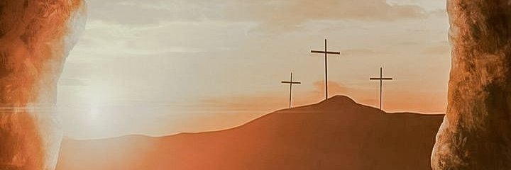 lorrainerspoli's profile banner image