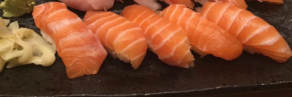 wingedsalmon's profile banner image