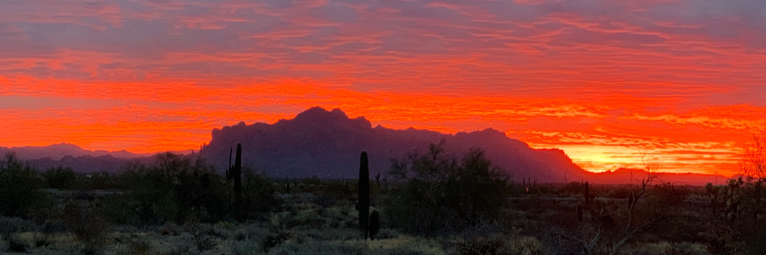 Michael Pooley banner