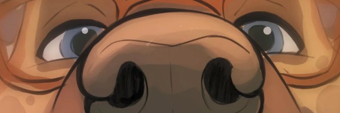 Tulikko banner