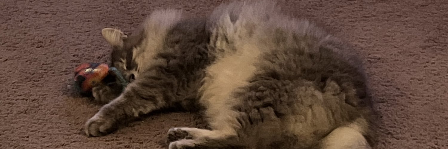 monogamousgoose's profile banner image