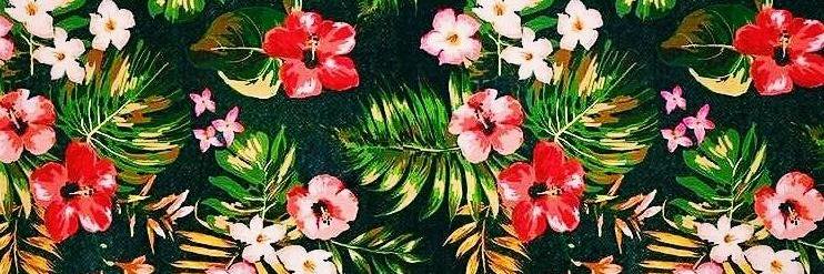MegaCornuda's profile banner image