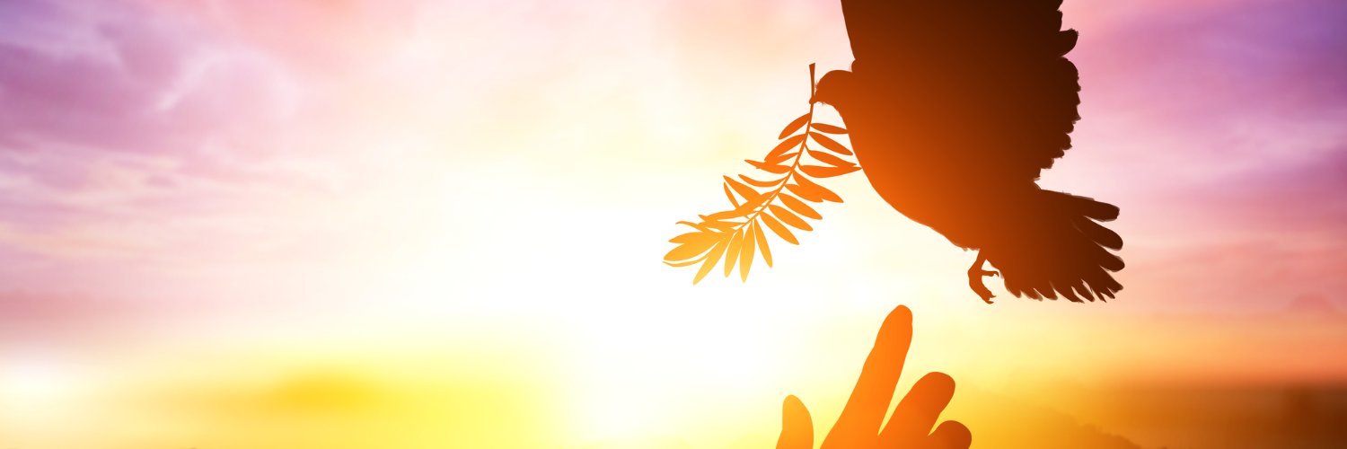 Catarb_17's profile banner image