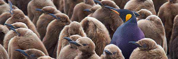 LifeSciSearch's profile banner image