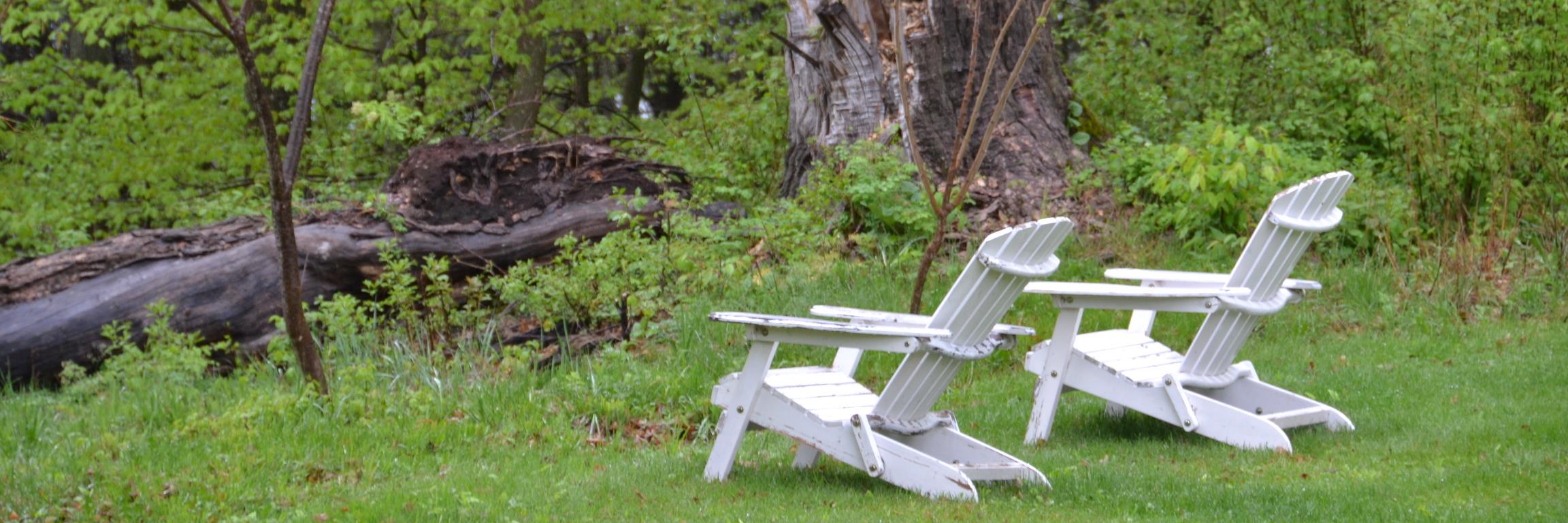 Michelle Shiles banner