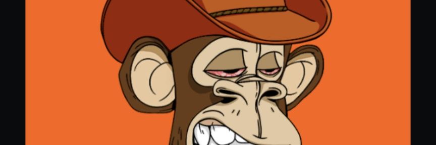 ShantellsJU's profile banner image