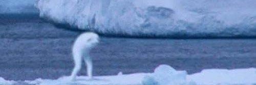 VietNyan's profile banner image