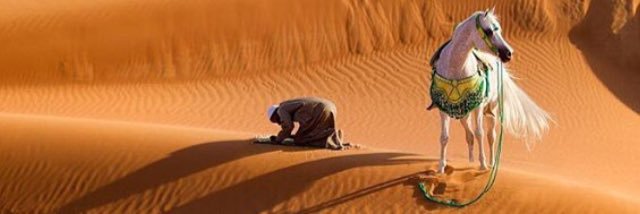 بـــدر جمال الشاهين الربيّع banner